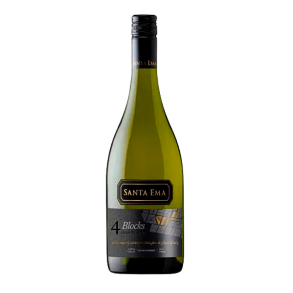 Blocks Gran Reserva Sauvignon Blanc - BCO 750ml