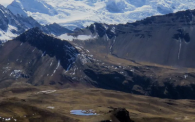 Os desafios da viticultura da Patagônia