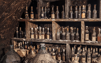A história dos vinhos