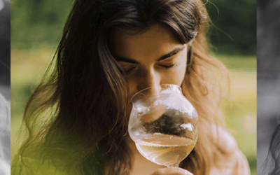 Os vinhos e seus aromas