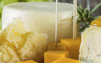 Harmonização de Receitas com Queijo
