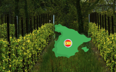 Roteiro de Vinícolas da Espanha