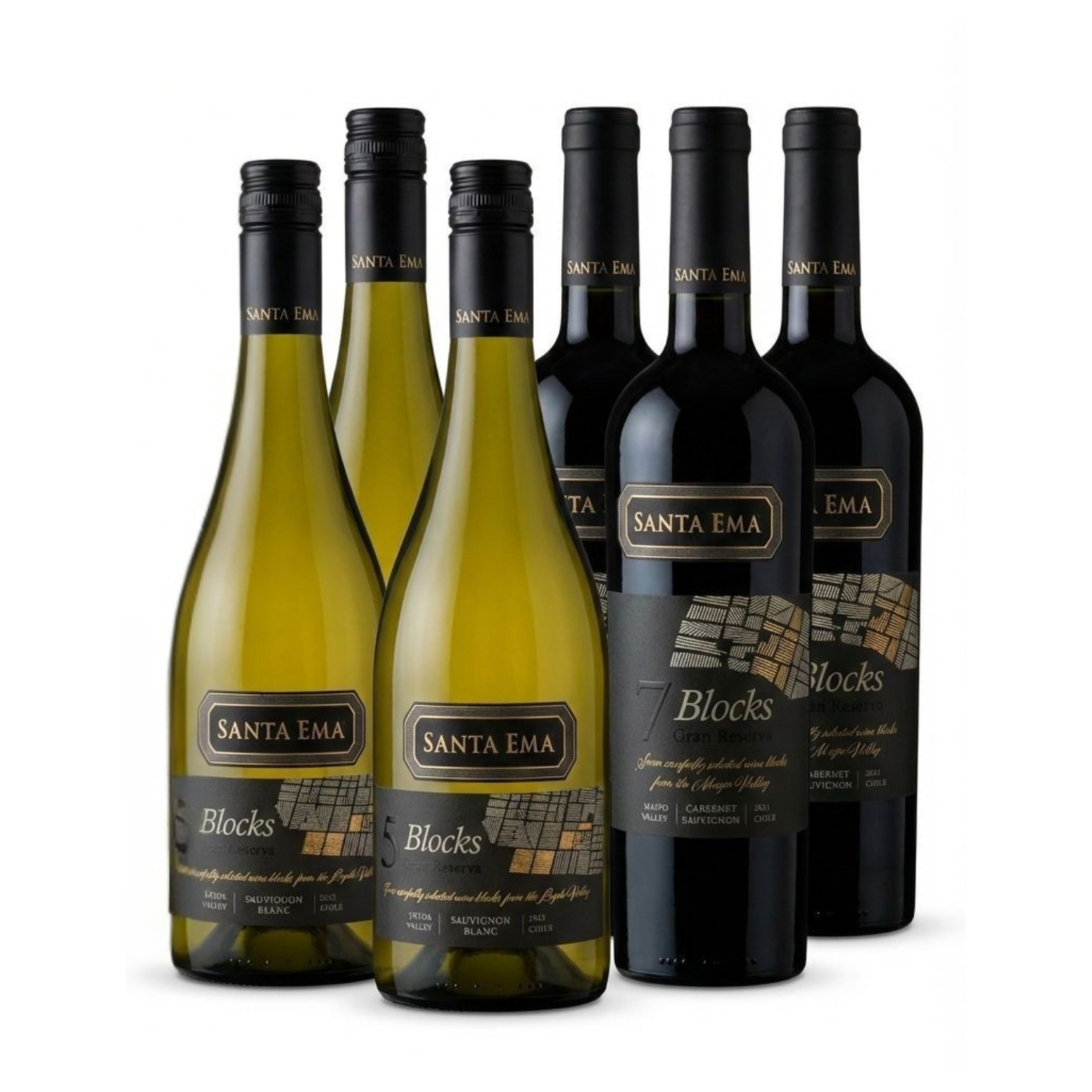 Kit Santa Ema Gran Reserva Mix Premium - 06 Garrafas